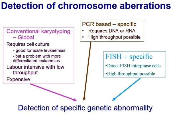Detection of chromosome aberrations