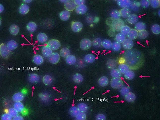 Deletion Assay