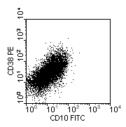 CD10-FITC vs CD38-PE; click to enlarge (8K)
