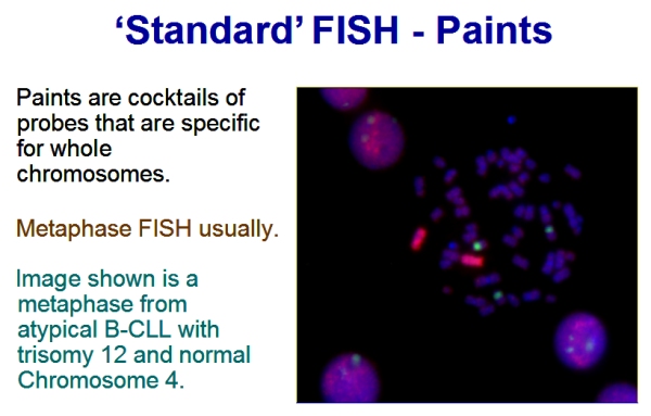 Standard FISH paint