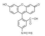 Fluorescein-5-isothiocyanate (isomer 1) molecular structure