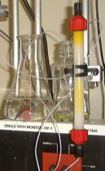 Gel filtration separation of labelled antibody from unreacted FITC; [enlargement 30K]