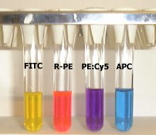 FITC, R-PE, R-PE:Cy5 and APC