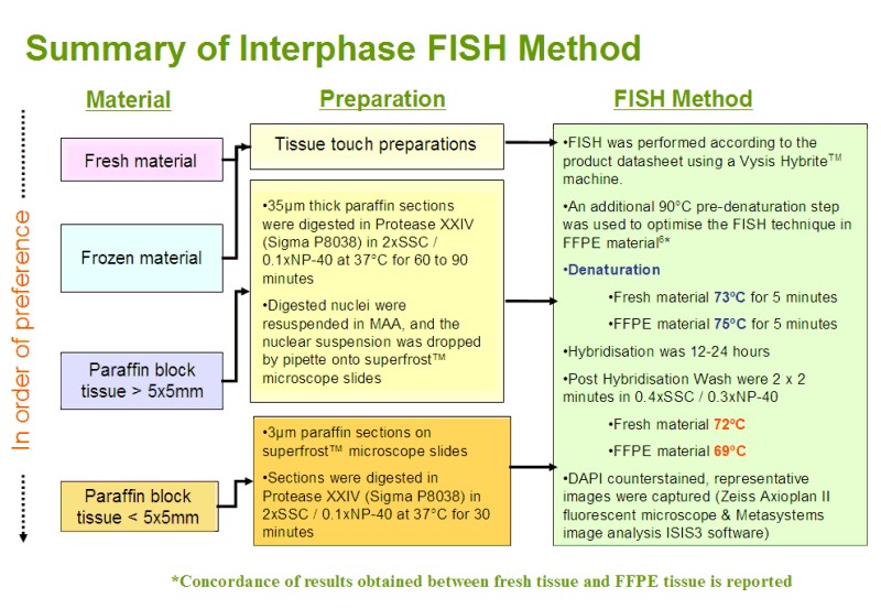 Summary of Interphase FISH Method