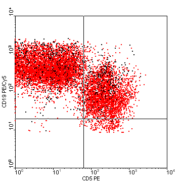 CD5-PE vs CD19-Cy5