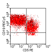CD5-PE vs CD19-Cy5; click to enlarge (7K)