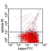 kappa-FITC vs lambda-PE; click to enlarge (6K)