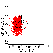 CD10-FITC vs CD19-Cy5; click to enlarge (5K)