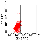 CD45-FITC vs CD19-PE; click to enlarge (3K)