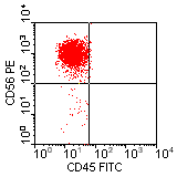 CD45-FITC vs CD56-PE; click to enlarge (3K)