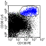 CD138-PE vs CD38-Cy5; click to enlarge (9K)
