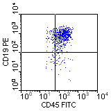 CD45-FITC vs CD19-PE; click to enlarge (3K)