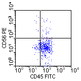 CD45-FITC vs CD56-PE; click to enlarge (3K)