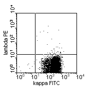 kappa-FITC vs lambda-PE; click to enlarge (3K)