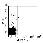 CD10-FITC vs CD38-PE; click to enlarge (3K)