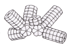 phycobilisome