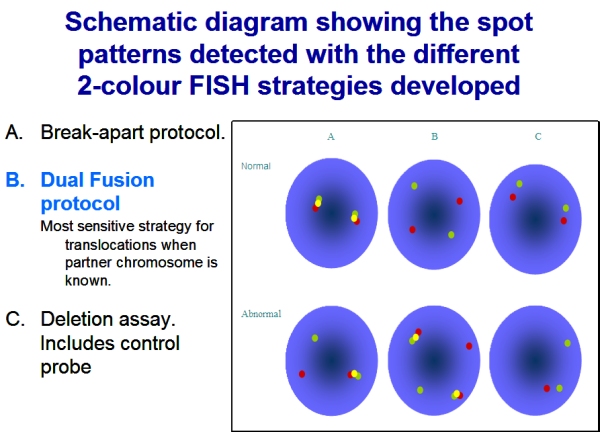 Schematic diagram showing the spot patterns detected with the different