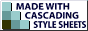 CSS logo